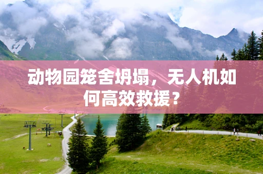 动物园笼舍坍塌，无人机如何高效救援？