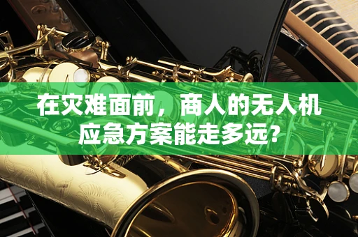在灾难面前，商人的无人机应急方案能走多远？