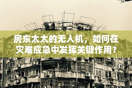房东太太的无人机，如何在灾难应急中发挥关键作用？