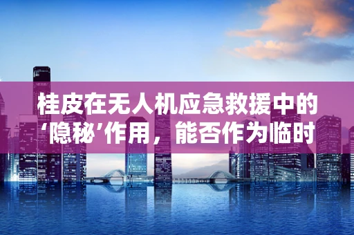 桂皮在无人机应急救援中的‘隐秘’作用，能否作为临时伪装材料？