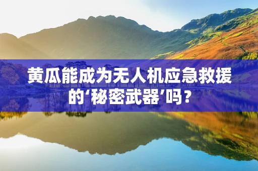 黄瓜能成为无人机应急救援的‘秘密武器’吗？