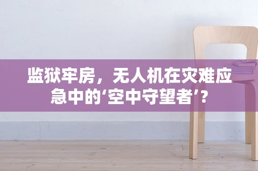 监狱牢房，无人机在灾难应急中的‘空中守望者’？