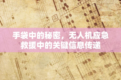 手袋中的秘密，无人机应急救援中的关键信息传递