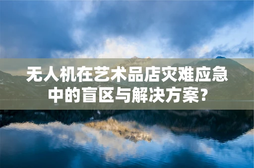 无人机在艺术品店灾难应急中的盲区与解决方案？
