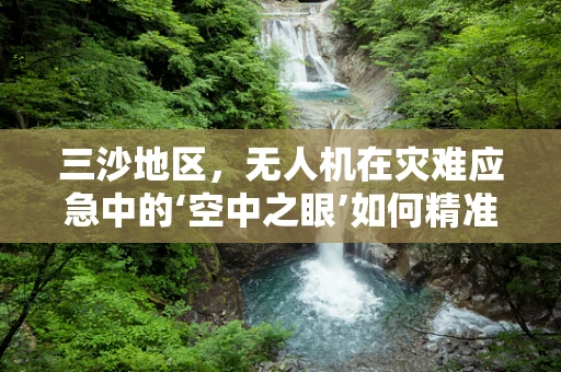 三沙地区，无人机在灾难应急中的‘空中之眼’如何精准部署？