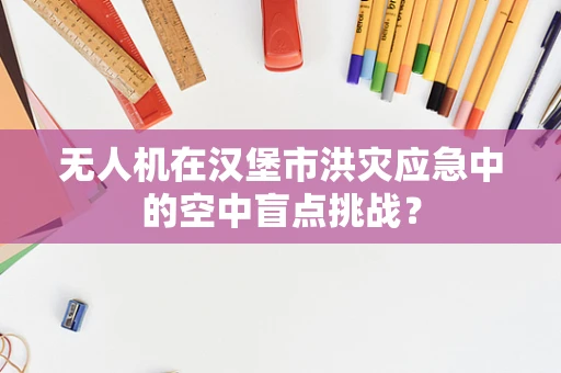 无人机在汉堡市洪灾应急中的空中盲点挑战？