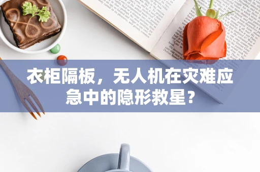 衣柜隔板，无人机在灾难应急中的隐形救星？