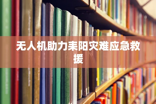 无人机助力耒阳灾难应急救援
