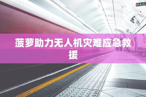 菠萝助力无人机灾难应急救援