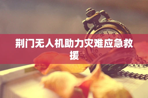 荆门无人机助力灾难应急救援