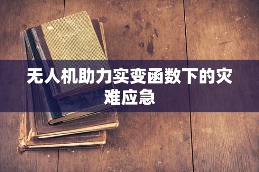 无人机助力实变函数下的灾难应急