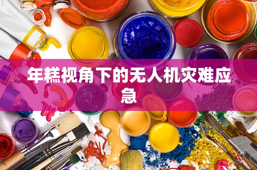 年糕视角下的无人机灾难应急