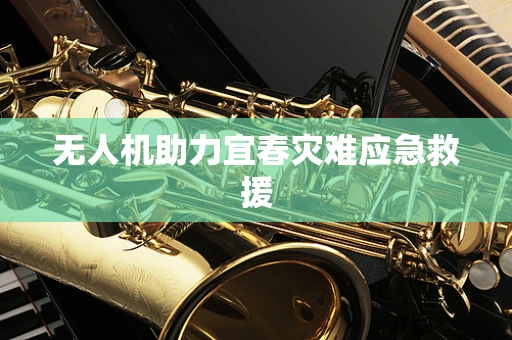 无人机助力宜春灾难应急救援