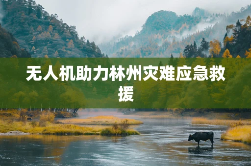 无人机助力林州灾难应急救援