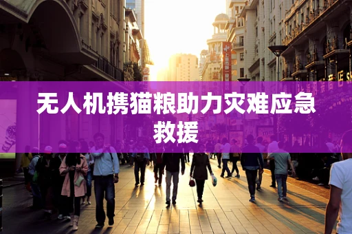 无人机携猫粮助力灾难应急救援