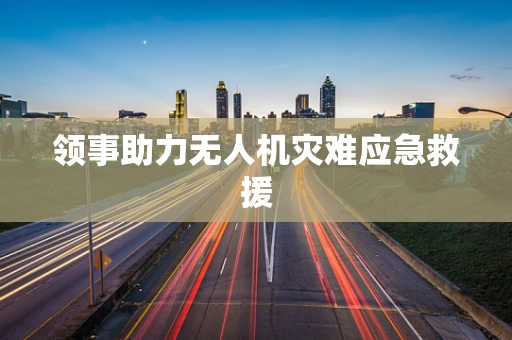 领事助力无人机灾难应急救援