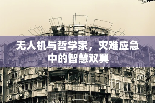 无人机与哲学家，灾难应急中的智慧双翼
