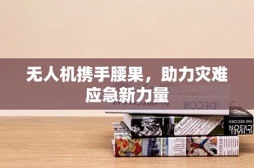 无人机携手腰果，助力灾难应急新力量