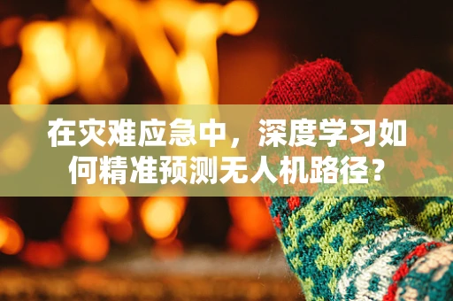 在灾难应急中，深度学习如何精准预测无人机路径？