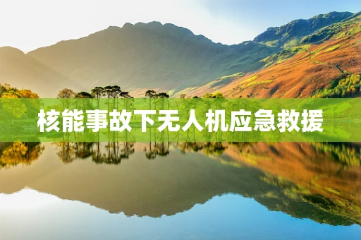 核能事故下无人机应急救援