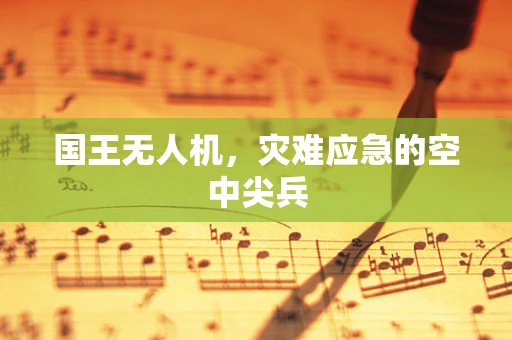 国王无人机，灾难应急的空中尖兵