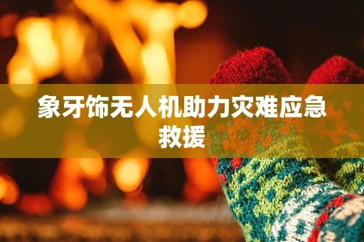 象牙饰无人机助力灾难应急救援