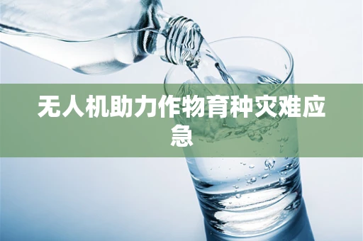 无人机助力作物育种灾难应急