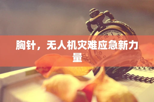 胸针，无人机灾难应急新力量