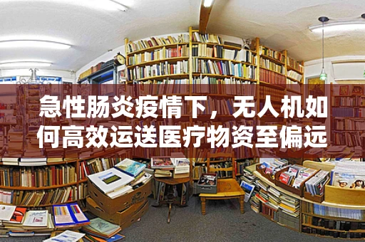 急性肠炎疫情下，无人机如何高效运送医疗物资至偏远灾区？