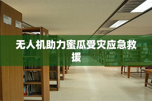 无人机助力蜜瓜受灾应急救援