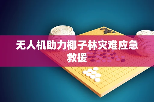 无人机助力椰子林灾难应急救援