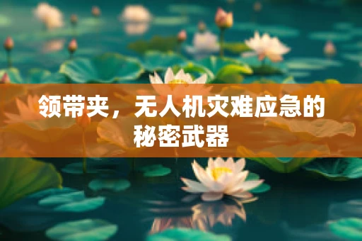 领带夹，无人机灾难应急的秘密武器