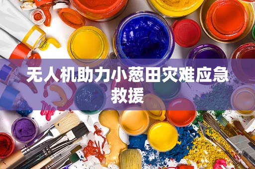 无人机助力小葱田灾难应急救援