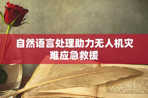 自然语言处理助力无人机灾难应急救援