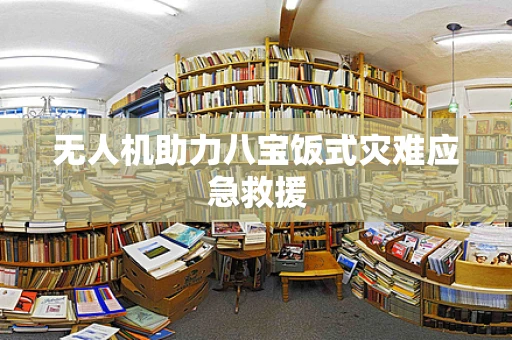 无人机助力八宝饭式灾难应急救援