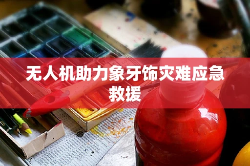 无人机助力象牙饰灾难应急救援