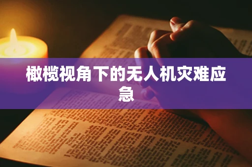 橄榄视角下的无人机灾难应急