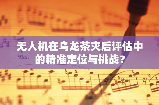 无人机在乌龙茶灾后评估中的精准定位与挑战？