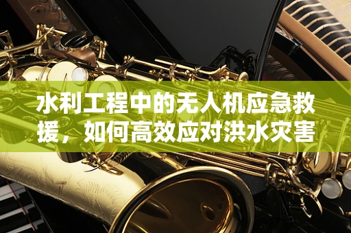 水利工程中的无人机应急救援，如何高效应对洪水灾害？