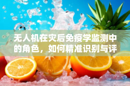 无人机在灾后免疫学监测中的角色，如何精准识别与评估？