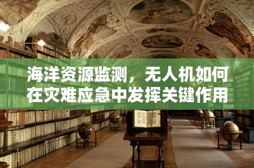 海洋资源监测，无人机如何在灾难应急中发挥关键作用？