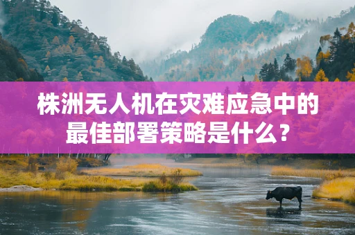株洲无人机在灾难应急中的最佳部署策略是什么？