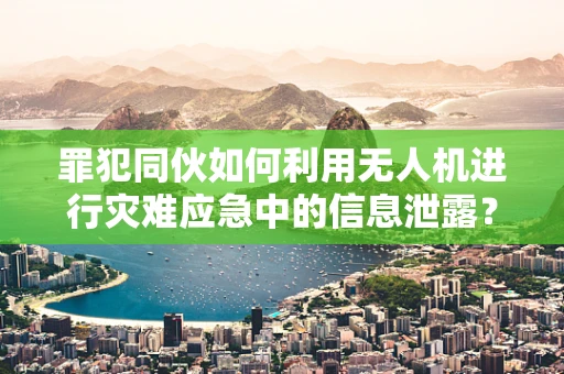 罪犯同伙如何利用无人机进行灾难应急中的信息泄露？