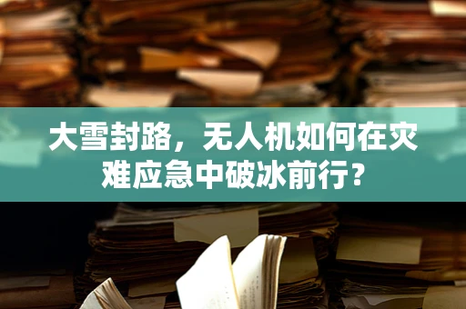 大雪封路，无人机如何在灾难应急中破冰前行？