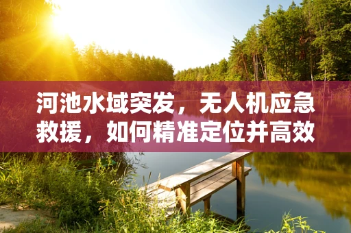 河池水域突发，无人机应急救援，如何精准定位并高效执行？