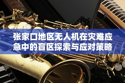 张家口地区无人机在灾难应急中的盲区探索与应对策略