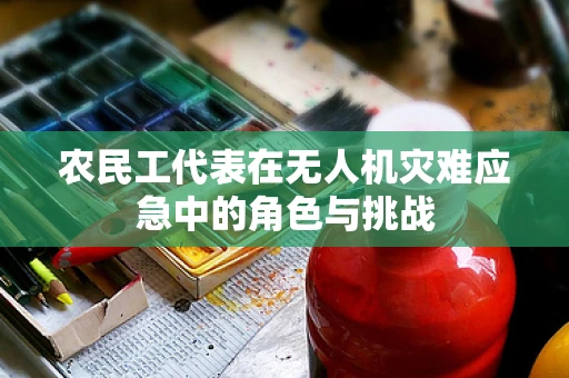 农民工代表在无人机灾难应急中的角色与挑战