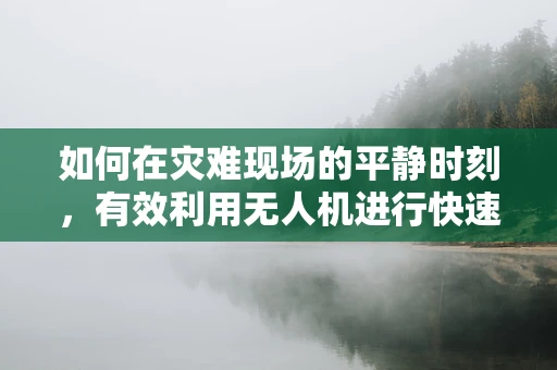 如何在灾难现场的平静时刻，有效利用无人机进行快速评估？