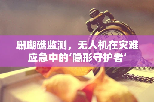 珊瑚礁监测，无人机在灾难应急中的‘隐形守护者’