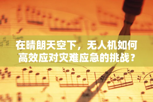 在晴朗天空下，无人机如何高效应对灾难应急的挑战？